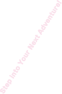 Step into Your Next Adventure!